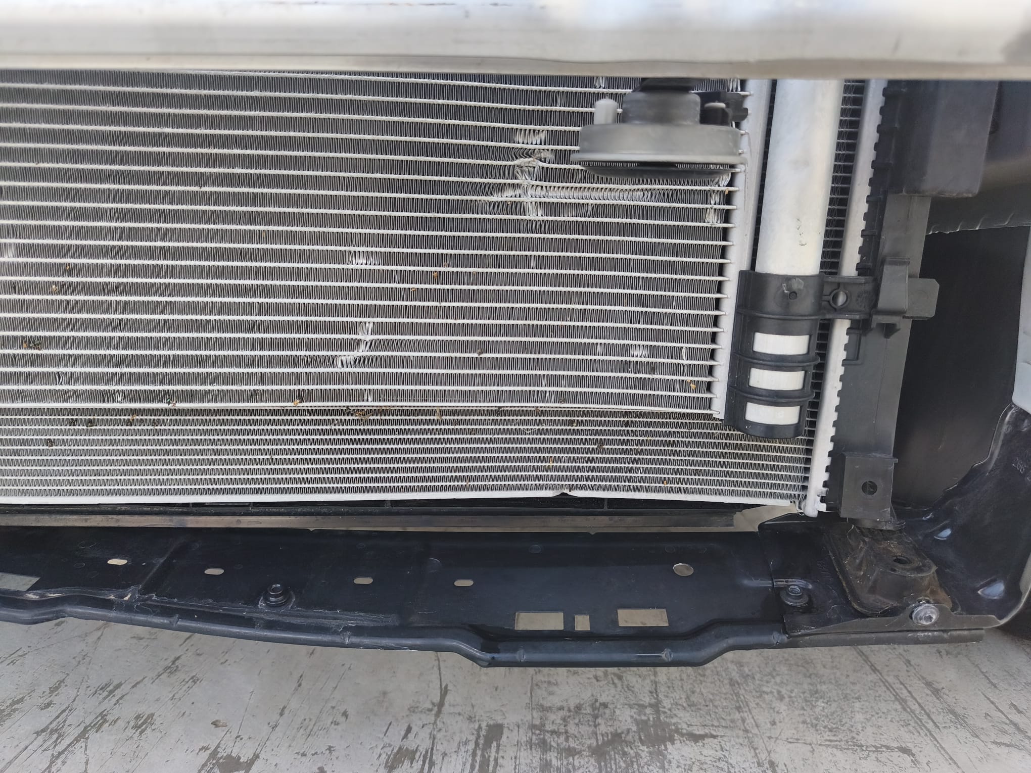 WhatsApp Image 2026-08-20 at 12.20.09