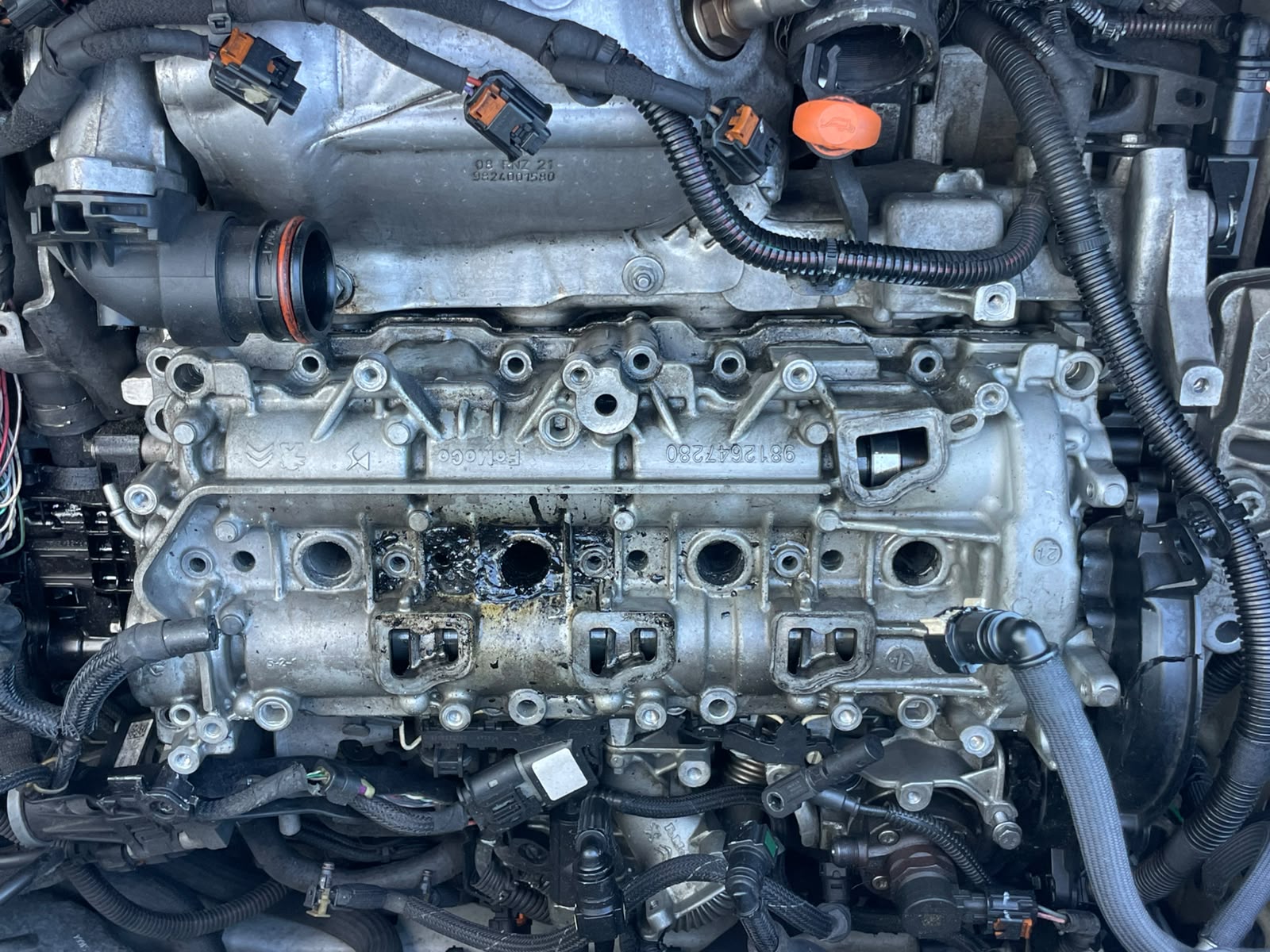 WhatsApp Image 2026-09-21 at 12.24.26
